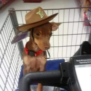 Meet your Posher, Joanne